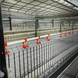 Jaula Metálica de Nivel 5000 para Gallinas Ponedoras de Corral Tipo 4 en Batería para Cría de Gallinas en Granja en Venta - Product Image 3