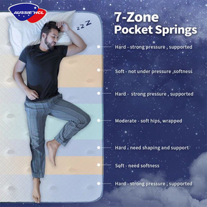 Thoải Mái Mật Độ Cao Nệm Gói Trong Hộp Đặt Hàng Trực Tuyến Làm Mát Lai Cao Su Gel Bộ Nhớ Bọt Túi Mùa Xuân Nệm - Product Image 4