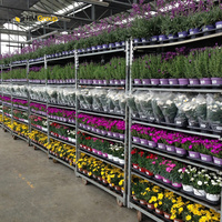 Présentoir de fleurs de plantes horticoles amovibles à plusieurs étagères personnalisées