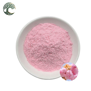 Poudre d'extrait de fleur de cerisier biologique OEM sous marque privée, soluble dans l'eau, qualité alimentaire, vente en gros en vrac - Product Image 1