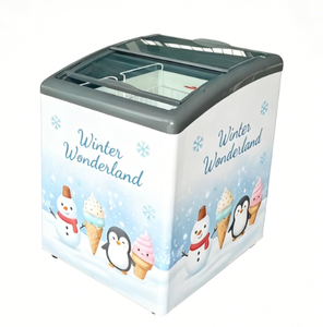 Congélateur <span class=keywords><strong>coffre</strong></span> à glaces avec autocollant personnalisé, dessus coulissant, grande capacité, mini-réfrigérateur horizontal fiable pour desserts surgelés - Product Image 1