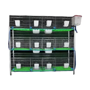 12 cells mother baby rabbit cage with nest box HJ-RC28