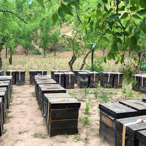 <span class=keywords><strong>Miel</strong></span> Sidr naturel <span class=keywords><strong>pur</strong></span> de qualité yéménite en gros de qualité supérieure dans une tasse de 80g pour cadeau à usage domestique - Product Image 4