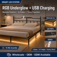 Lit pliant en fer avec éclairage LED RGB, télécommande, cadre robuste, assemblage rapide, grand espace de rangement, sans bruit, en promotion