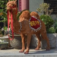 Camélion Artificiel en Plastique Durable pour Décoration Intérieure, Ornements Scéniques, Accessoires de Fête, Parc d'Attractions, Animaux, Diwali, Ramadan