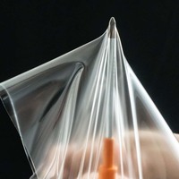 Film de protection de peinture automobile OEM d'usine en TPU transparent PPF, haute durabilité, à base aliphatique, anti-jaunissement, résistant aux produits chimiques