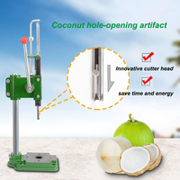 Outil portable pour percer la noix de coco, ouvre-noix de coco frais, ouvre-noix de coco à retirer le noyau