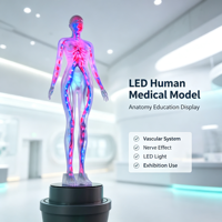 Modèle de simulation réaliste personnalisé