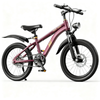 Bisiklet 20 "BMX bisiklet/üretim iyi fiyat ücretsiz tarzı bisiklet 20 inç sokak BMX bisiklet ile disk fren