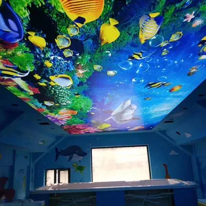 中国pvc薄膜细节俱乐部之家pvc天花板薄膜彩色绘图薄膜细节pvc虚假天花板设计卧室