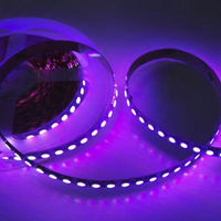 Bande led flexible 5050 couleur unique DC 12/24V CE profil RoHS bande led rétroéclairage TV pour chambre