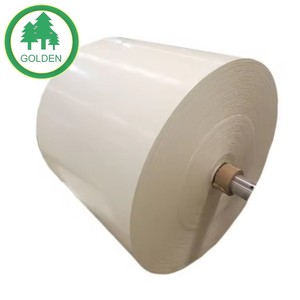 Papel Ecológico para Base de Vasos de Grado Alimenticio, Recubierto de PE, 170gsm-350gsm, para Vasos Desechables, Mercado Europeo - Product Image 6