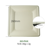 Plateau carré jetable de 10 pouces en pulpe de bagasse de canne à sucre compostable, biodégradable et écologique pour la restauration