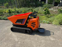 ChuangXin 2026 Vollhydraulischer Mini-Raupendumper mit Motor, Getriebe & Lager, hocheffizient, 4KW, geländegängig, mit Hubfunktion