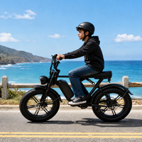 Vélo électrique à pneus larges de 20 pouces, 48V 750W, batterie au lithium 15Ah, frein à disque double, vélo électrique pour les trajets en ville
