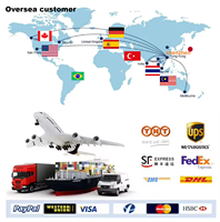 Máquina de Moldeo por Inyección Horizontal Eléctrica con Control PLC, Motor Automático, Brazo Robótico, Tornillo para Materiales PE/PP/PC de Alta Calidad