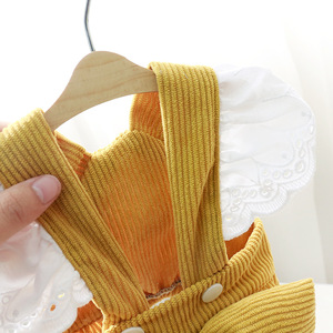 Dog Corduroy <b>Skirt</b> Yellow Bow-knot Lantern <b>Skirt</b> Autumn Winter Warm <b>Elastic</b> Pet Clothes For Dog - Product Image 4