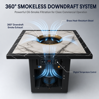 Système d'extraction à aspiration descendante pour la purification de l'air, table de barbecue professionnelle pour magasin, fabriqué par Ji Lu Source Factory