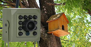 Caméra de <span class=keywords><strong>nichoir</strong></span> WiFi, caméra de <span class=keywords><strong>nichoir</strong></span>, caméra 6MP, sans fil, 5G 2.4G WiFi, application intelligente avec capture automatique de photos et de vidéos, application Tuya - Product Image 3