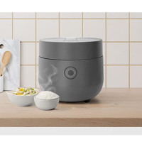 Cuisinière à riz multifonctionnelle minimaliste haut de gamme - Capacité 3-5L, affichage numérique, commande tactile, gris pour maison moderne, facile à nettoyer