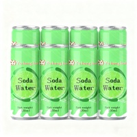 Eau pétillante aromatisée au citron vert sans sucre 330ml Zero Guilt OEM ODM disponible avec des saveurs personnalisables