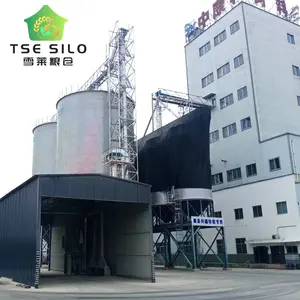CE certificata a cono silos fondo grano contenitore contenitore silo prezzo