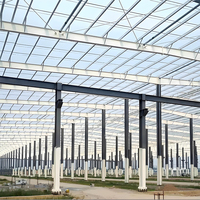Nave Industrial Prefabricada de Acero de Bajo Costo con Estructura de Diseño Moderno