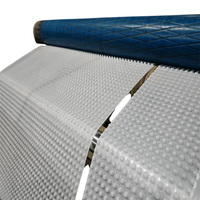 Géocomposite à âme pointue en HDPE, plaque de drainage à fossettes, système de drainage pour toiture