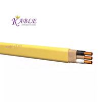Câble électrique de construction en cuivre isolé PVC toronné NM-B 10/2 12/2 14/2 pour les États-Unis/Canada, tension nominale 600V