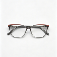 Montures de lunettes à monture complète dégradées, style vintage moderne, lunettes optiques