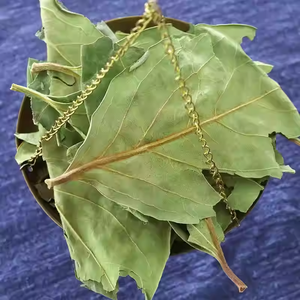 Daun Kesemek Kering Harga Pabrik Shi Zi Ye, Daun Teh Herbal Cina, Daun Kesemek Kering