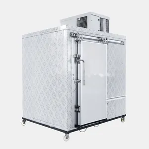 Custom vegetable fruit food and beverage freezer storage refrigerator freezer solar container freezer