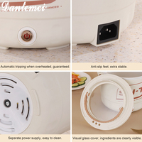 Nouvel arrivage Meilleur prix Mini marmite électrique 1,6 L Cuiseur à nouilles multifonctionnel Cuiseur à riz antiadhésif