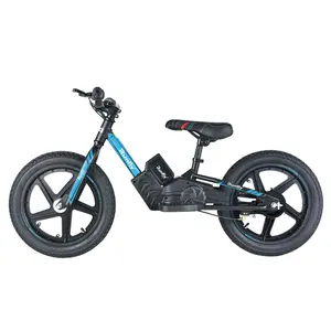 2023 모델 16 인치 전자 전원 장난감 자전거 16 "250W 어린이 전기 균형 자전거 5 - 12 세 소년