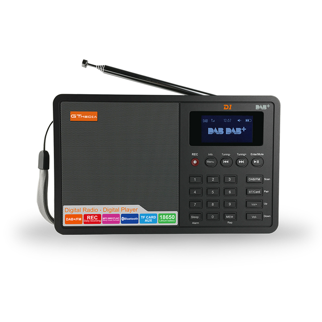 GTmedia D1 Portable Digital Radio - DAB+/FM/BT/TF/AUX, 1.8" LCD, Alarm, Recording, 18650 Battery