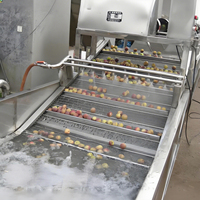 Volautomatische Geïntegreerde Fruit En Groente Wassen, Schillen, Drogen Productielijn Machine