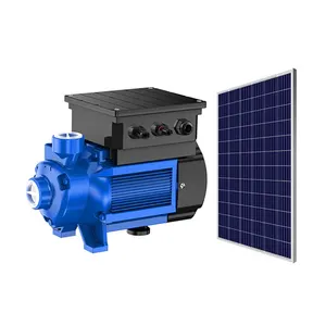 Profession supplier 24V 36V 48V 72V surface solar self priming peripheral water pump for home use