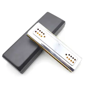 Thiên Nga 2-trong-1 Hai Mặt Tremolo Harmonica Miệng Organ Dural Key của C & G 24 Đôi Lỗ Reed Gió Cụ Harmonica