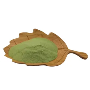 Harga grosir bubuk daun Moringa murni alami organik Moringa Oleifera ekstrak biji daun
