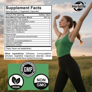 Suplemento para Mejorar el Estado de Ánimo ODM - 5-HTP, Ashwagandha, Magnesio y GABA - Apoya la Salud Cognitiva, la Relajación y un Mejor Sueño, Sin OMG - Product Image 3