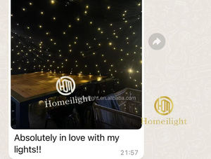 Romantische Funkelnde Lichter Feuerfester LED-Sternenvorhang Blau Weiß Warmweiß Hochzeits-Funkelvorhang - Product Image 6