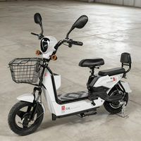 Güçlü Yüksek Hızlı 3 Vitesli Yetişkinler İçin Elektrikli Şehir Bisikleti, Büyük Kapasiteli Elektrikli Bisiklet Kurşun Asit Akülü Fırçasız Motorlu