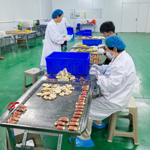 Four de séchage à pompe à chaleur pour friandises pour animaux, température réglable, ligne de production de séchage de friandises pour animaux - Product Image 3