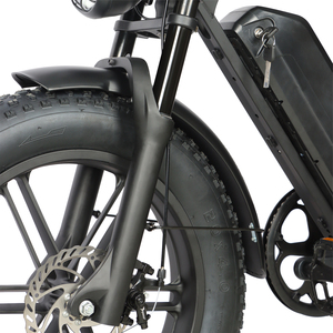 Vélo électrique tout-terrain rétro BAOLUJIE 48v 750W à pneus larges, 50 km/h, pour l'aventure sur la neige et la montagne - Product Image 5