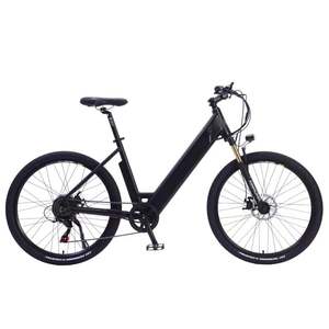 Vélo électrique de ville professionnel avec batterie au lithium 48V 10Ah, vélo électrique rapide, vélo électrique personnalisé de haute qualité - Product Image 6