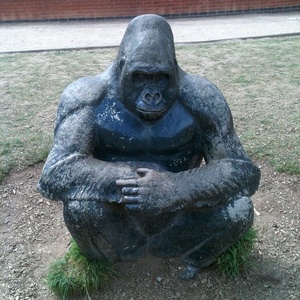 Prodotto di Tendenza: Bellissima Scultura Musicale di Gorilla Cantante in Ottone per Esterni - Product Image 4