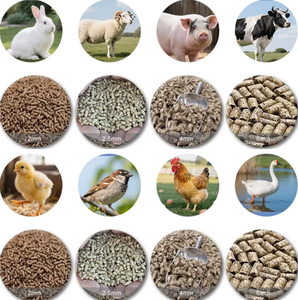 Flat Die Type Domestic <strong>Fowl</strong> Feed Pellet Press Machine Pellet Mill Energy Saving Feed Granulator for Farm Animal Food <strong>Livestock</strong> - Product Image 3