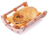 Hamac en bois et coton pour hamster, écureuil, dragon, chat, cochon d'Inde, cochon d'Inde néerlandais, chaud pour l'hiver, à pois
