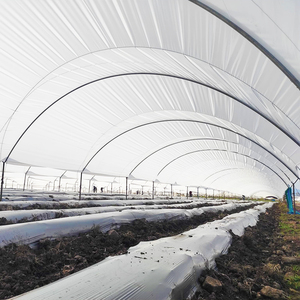 Grande Tunnel per la Protezione delle Colture di Mirtilli, Pesche, Pere e Frutteti in Australia - Product Image 6