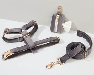 Ensemble chien et laisse Darkgrey Veet, personnaliser harnais + collier + nœud papillon + porte-sac caca, faisceau de harnais de mariage sans traction - Product Image 5